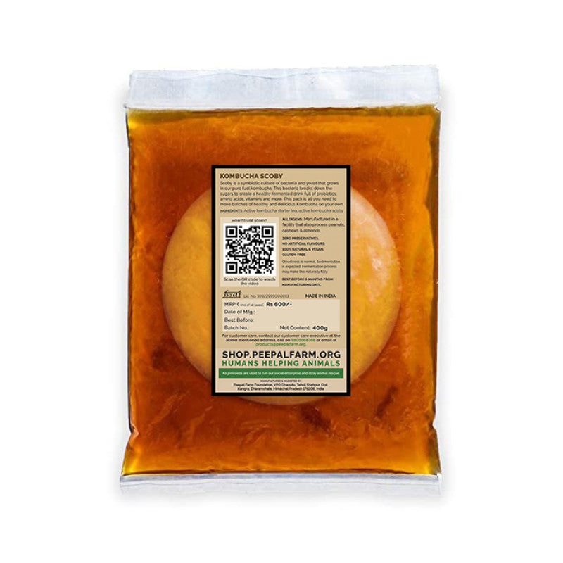 Kombucha SCOBY and Starter Tea