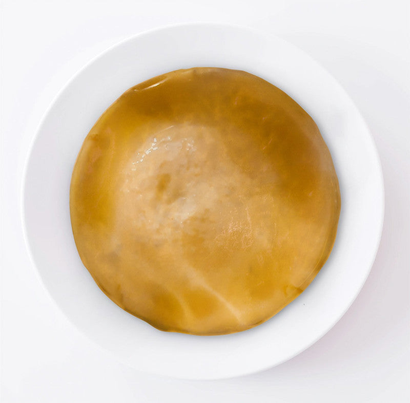 Kombucha SCOBY and Starter Tea