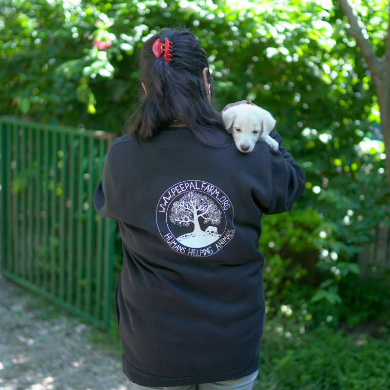 Desi Log Desi Dog Sweatshirt