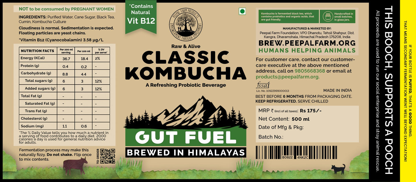 Handcrafted Kombucha (Pack of 2 x 500ml), Low-Calorie, All Natural, Contains B12 Naturally