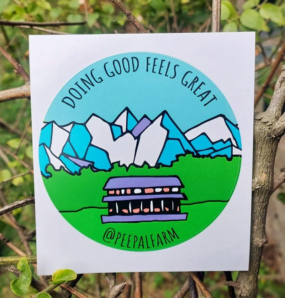 Doing Good Feels Great, Set of 30 Stickers