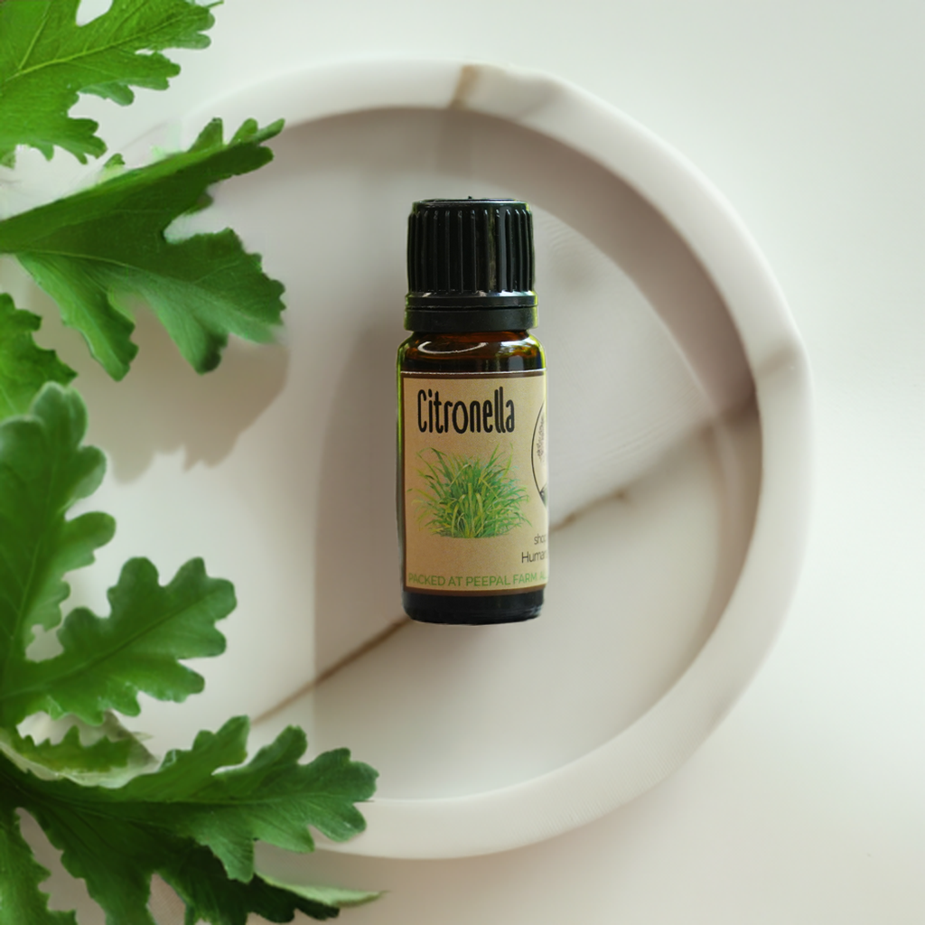 Citronella Essential Oil (10ml)