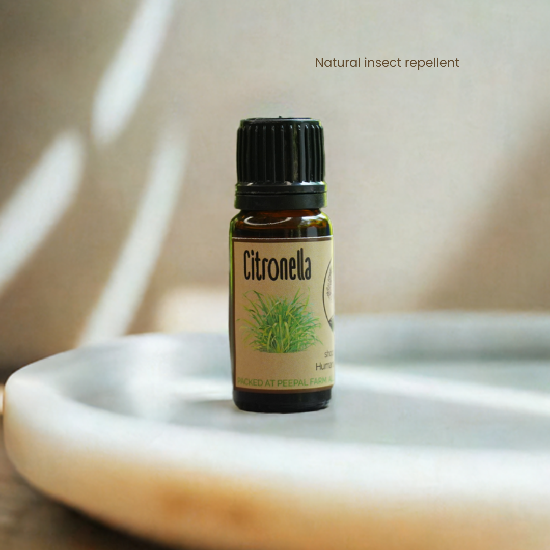 Citronella Essential Oil (10ml)