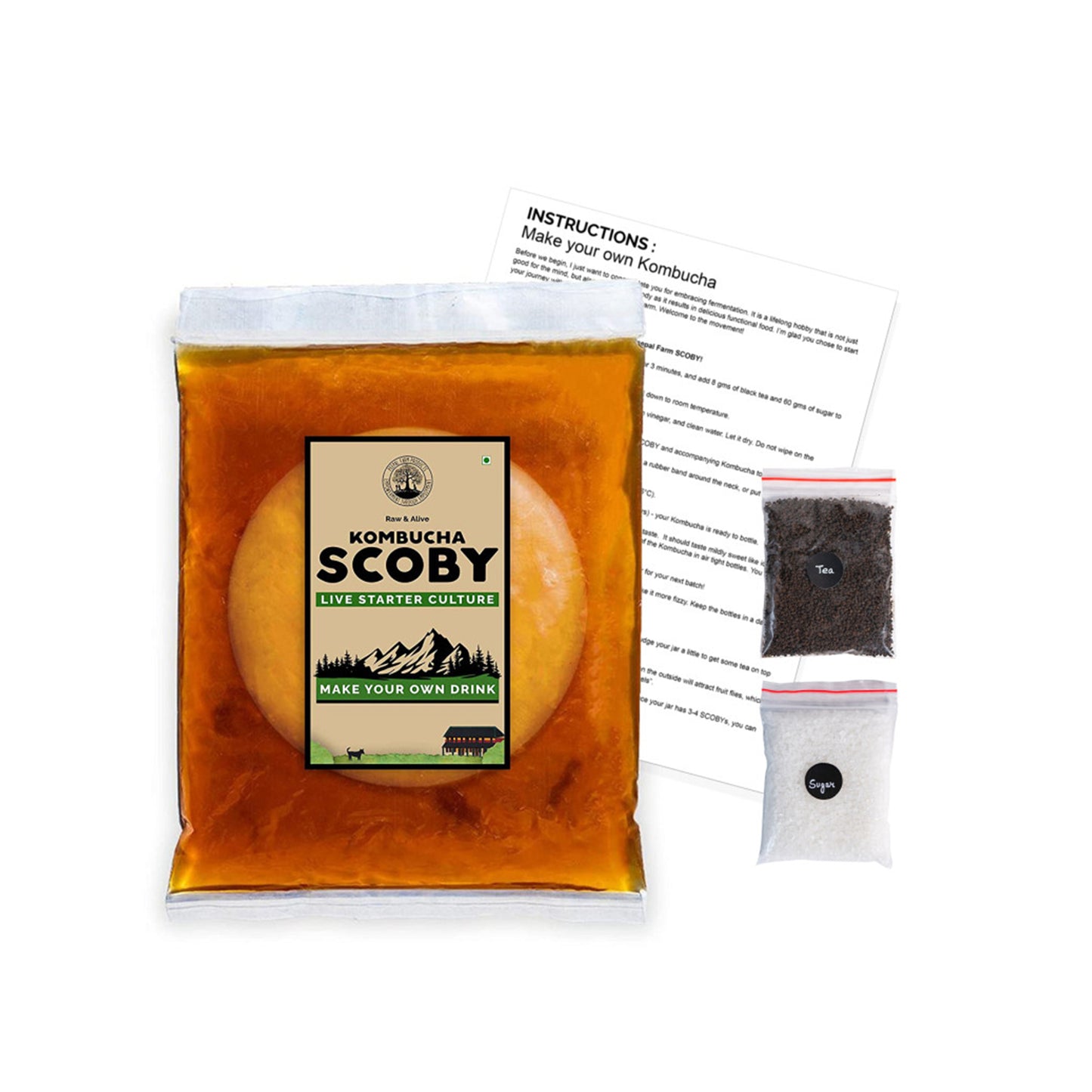 Kombucha SCOBY and Starter Tea