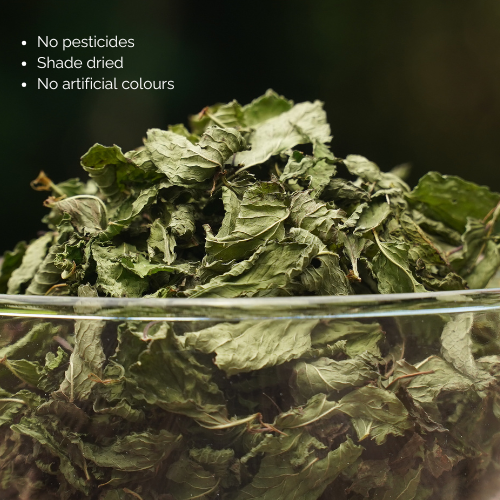 Organically Grown Mint (20 g), Farm Grown, Shade Dried