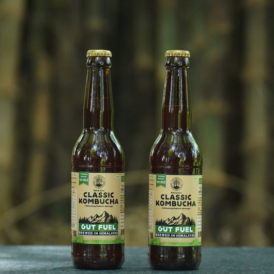 Handcrafted Kombucha (Pack of 2 x 330ml), Low-Calorie, All Natural, Contains B12 Naturally, Glass Bottle
