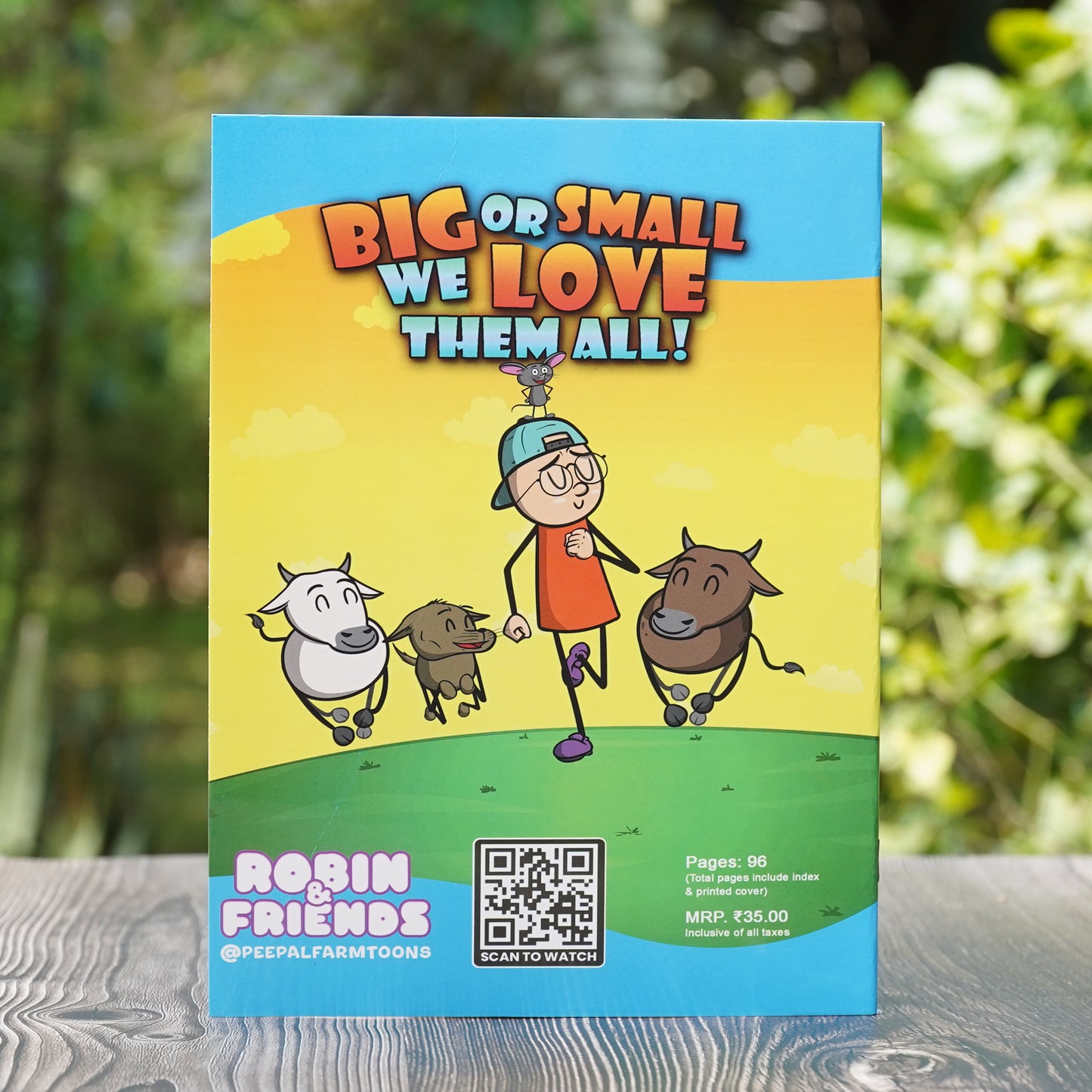 Robin & Friends Notebook Pack of 10