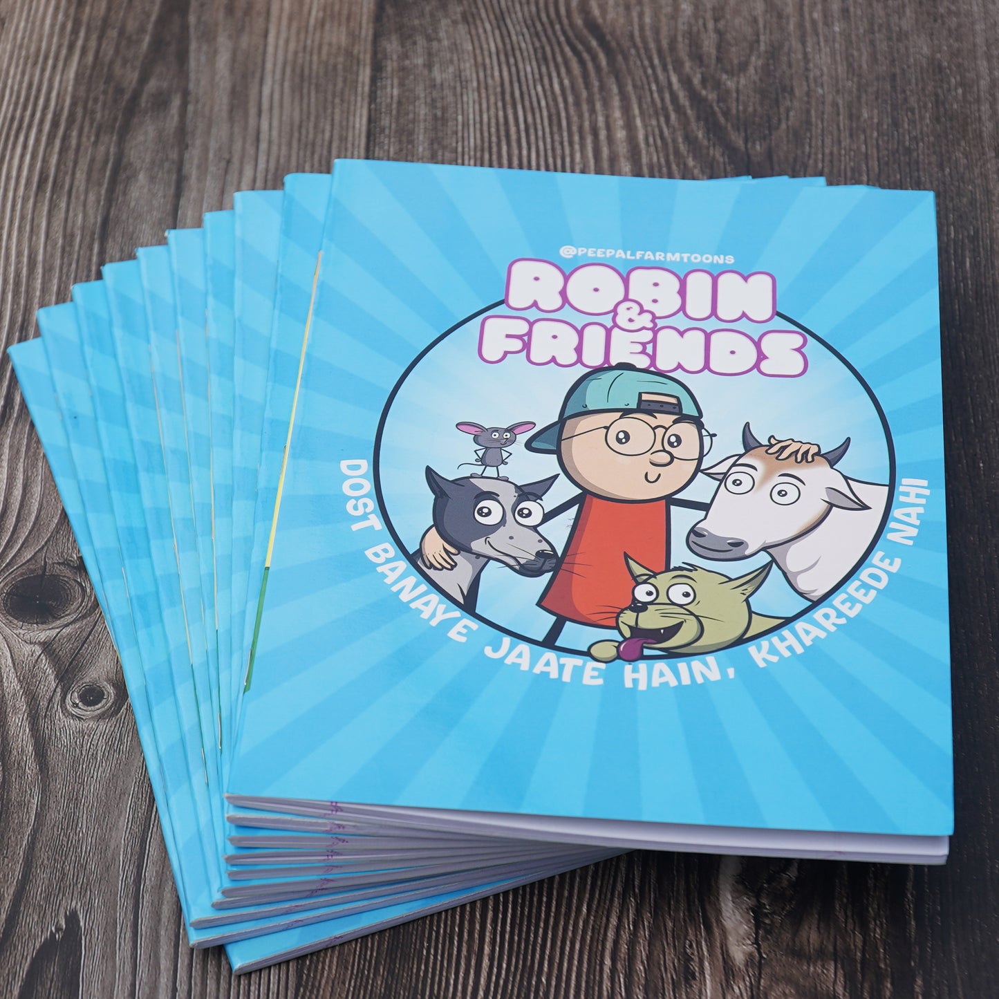 Robin & Friends Notebook Pack of 10