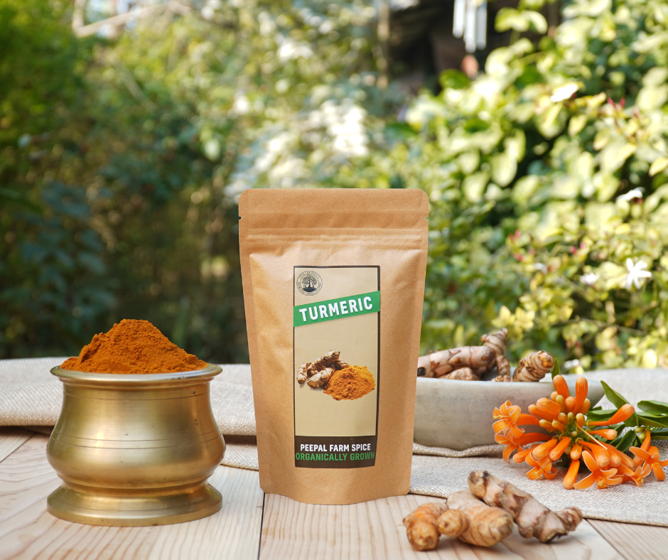 Organically Grown Turmeric (80 g), Farm Grown, High in Curcumin