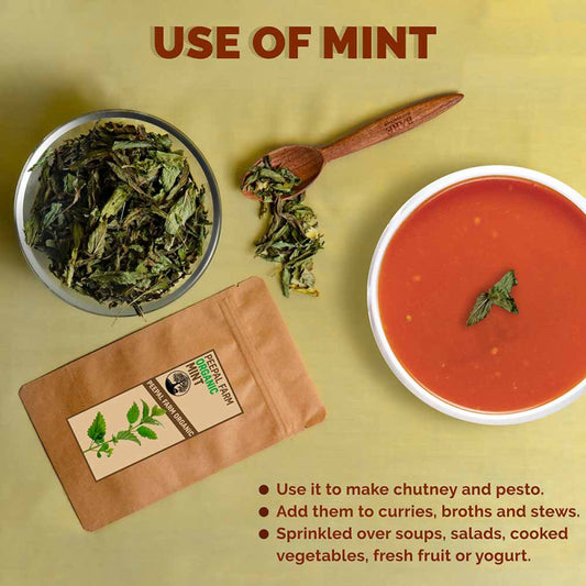 Organically Grown Mint (20 g), Farm Grown, Shade Dried
