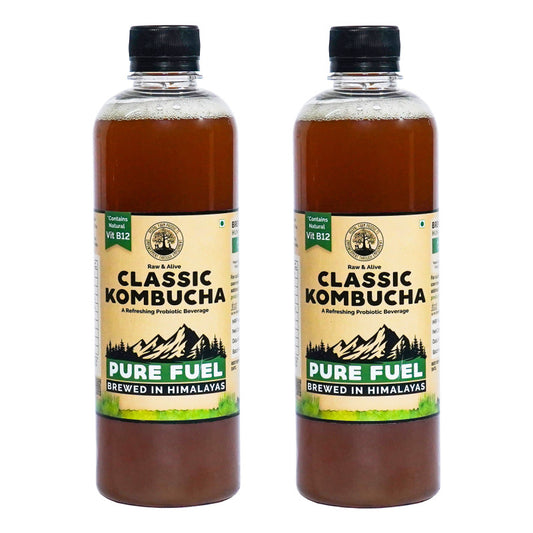 Handcrafted Kombucha (Pack of 2 x 500ml), Low-Calorie, All Natural, Contains B12 Naturally