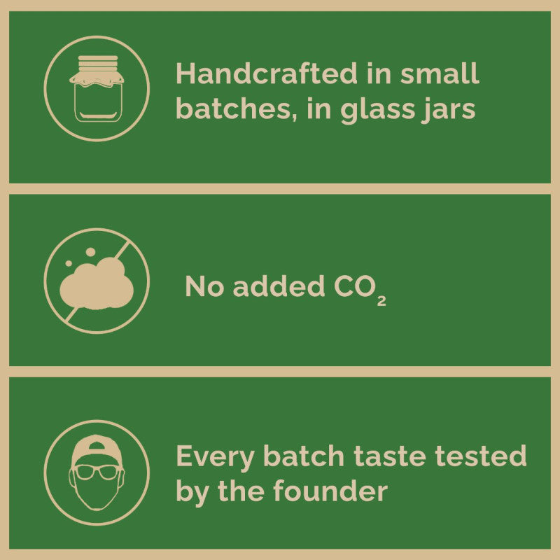 Handcrafted Ginger Kombucha (Pack of 2 x 500ml) | Low-Calorie, All Natural, Contains B12 Naturally