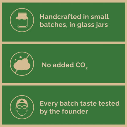 Handcrafted Ginger Kombucha (Pack of 2 x 500ml) | Low-Calorie, All Natural, Contains B12 Naturally