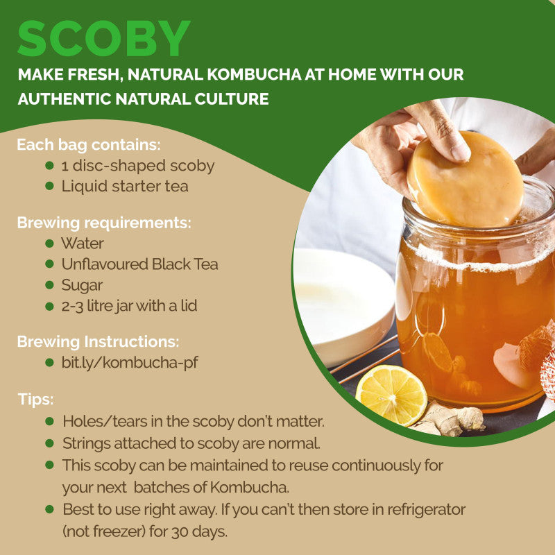 Kombucha SCOBY and Starter Tea