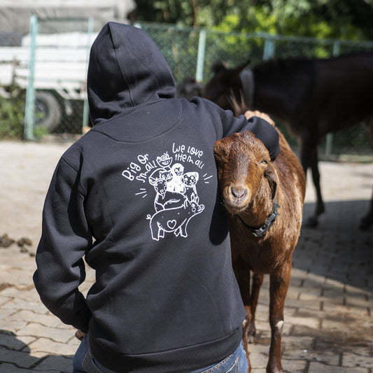 Big or Small We Love Them All Hoodie