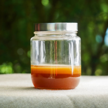 Brew Your Own Kombucha Starter Kit