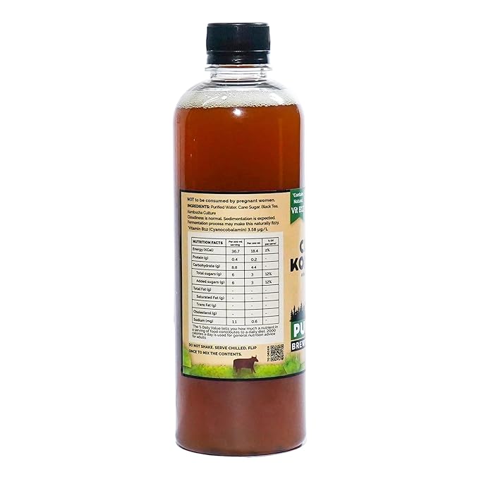 Handcrafted Kombucha (Pack of 2 x 500ml), Low-Calorie, All Natural, Contains B12 Naturally