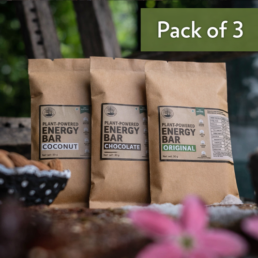 Plant-Powered Energy / Granola Bars Trial Pack of 3 ( Chocolate Bar + Coconut Bar + Original Bar) Sweetened Using Dates, Vegan