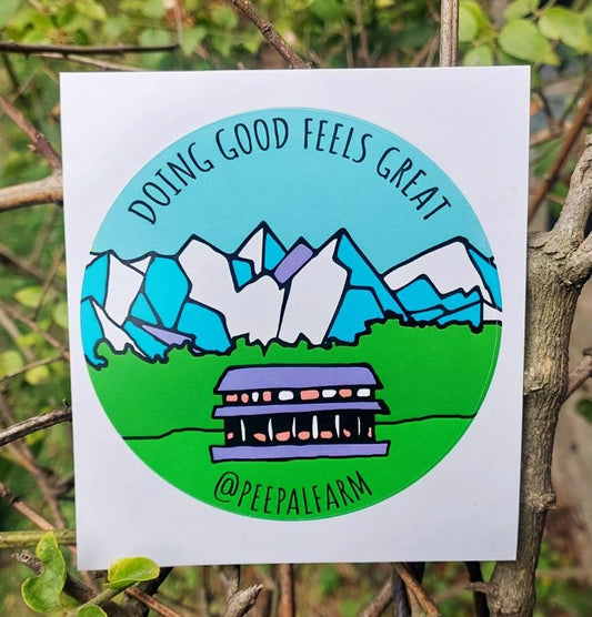 Doing Good  Feels Great, Set of 30 Stickers