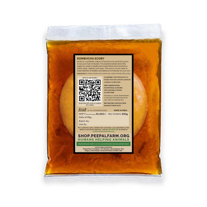Kombucha SCOBY and Starter Tea