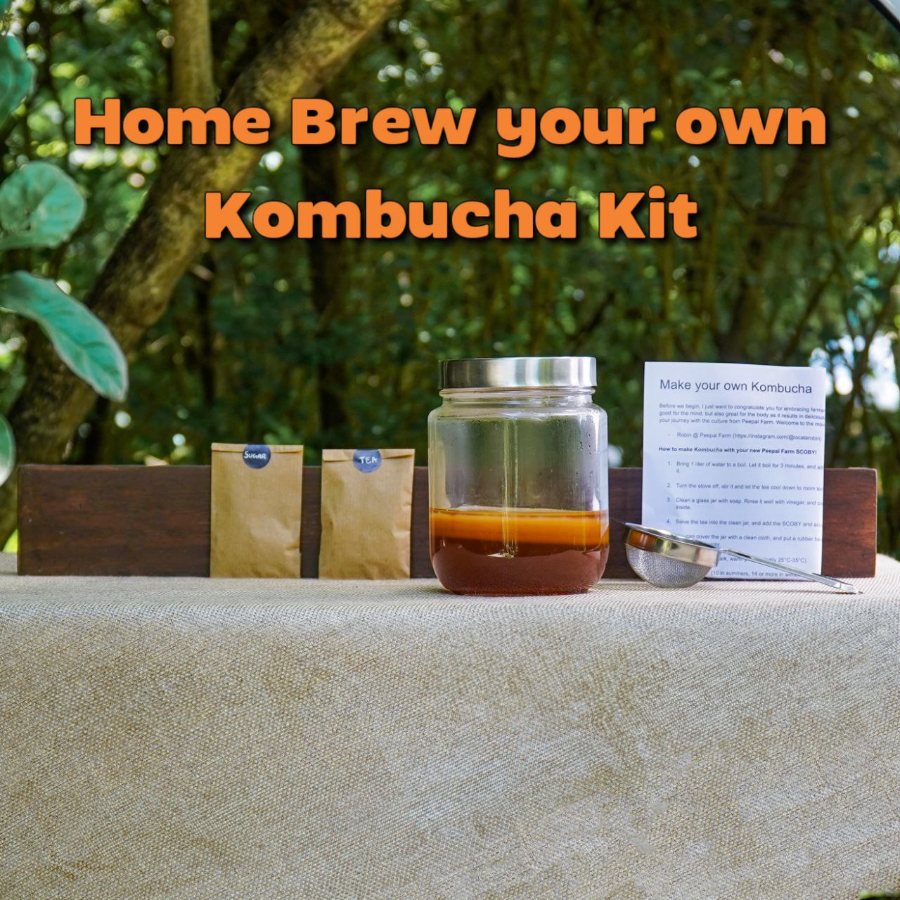 Brew Your Own Kombucha Starter Kit