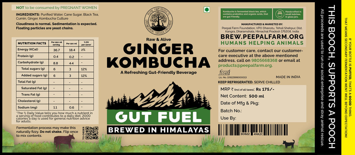 Handcrafted Ginger Kombucha (Pack of 2 x 500ml) | Low-Calorie, All Natural, Contains B12 Naturally