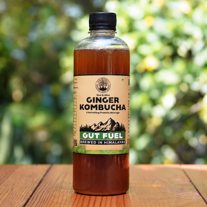 Handcrafted Ginger Kombucha (Pack of 2 x 500ml) | Low-Calorie, All Natural, Contains B12 Naturally