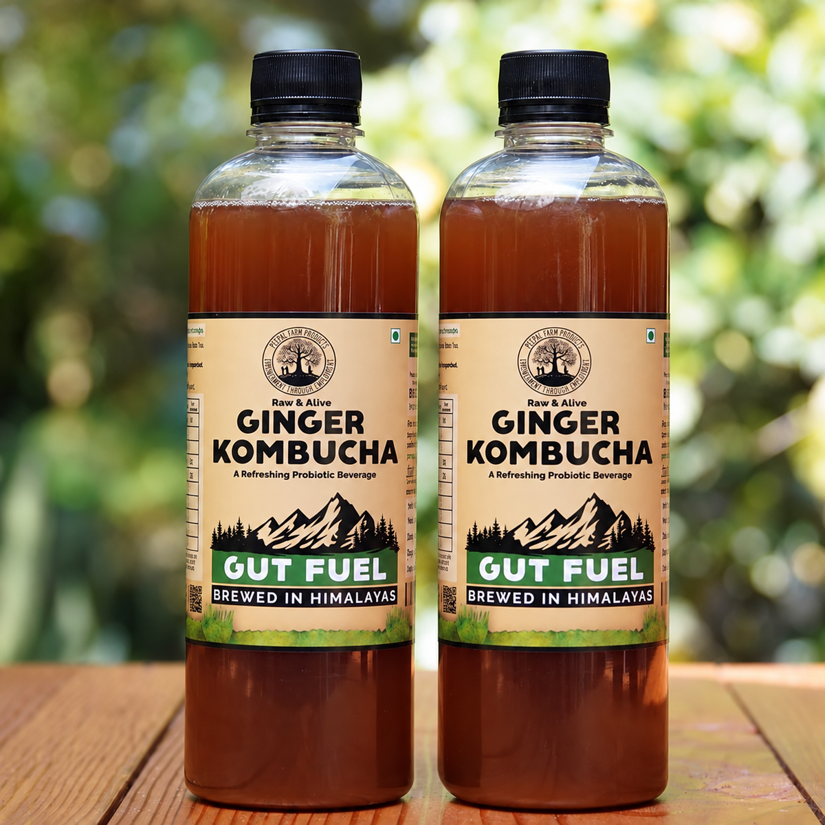 Handcrafted Ginger Kombucha (Pack of 2 x 500ml) | Low-Calorie, All Natural, Contains B12 Naturally