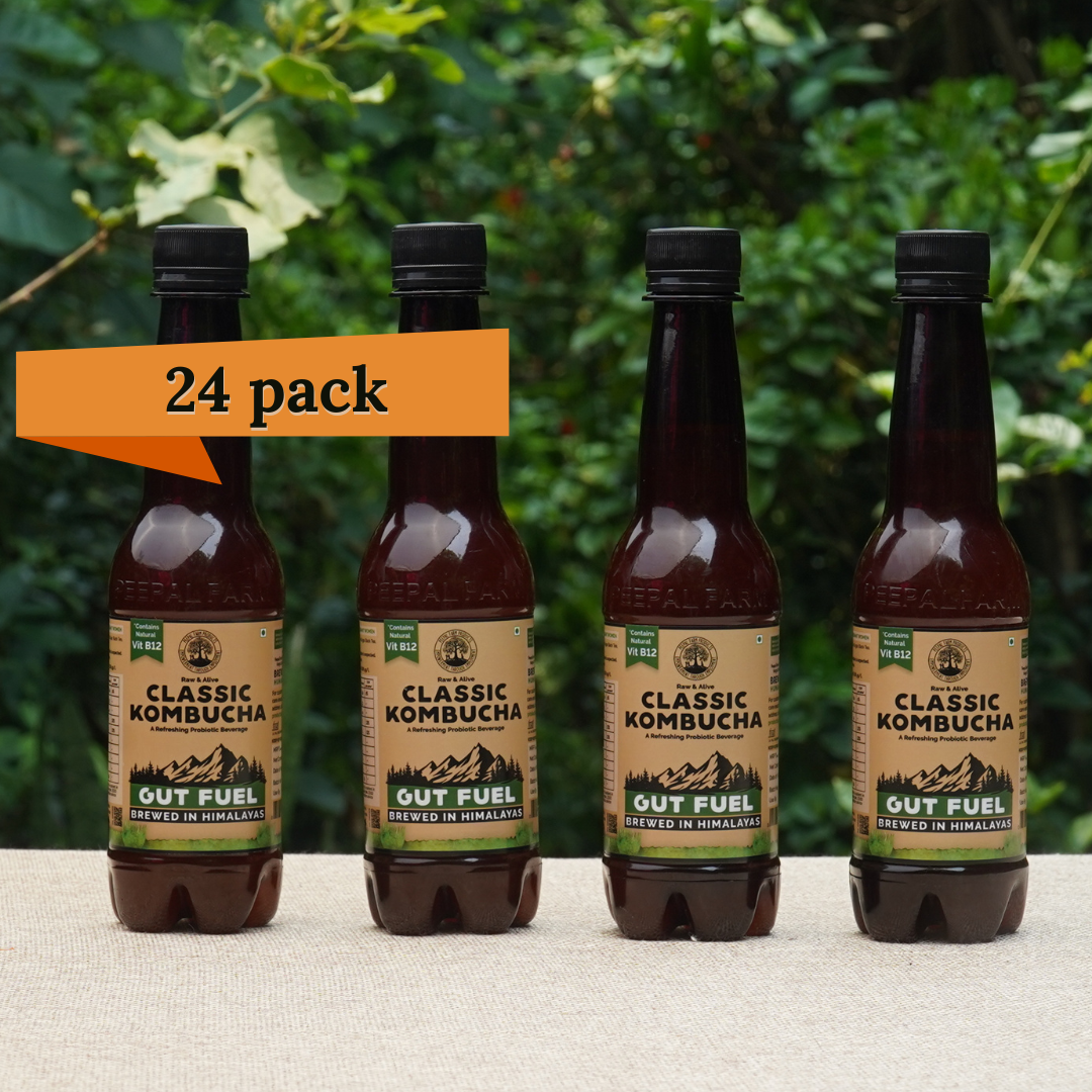 Handcrafted Kombucha (Pack of 24 x 330ml), Low-Calorie, All Natural, Contains B12 Naturally