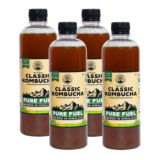 Handcrafted Kombucha (Pack of 4 x 500ml), Low-Calorie, All Natural, Contains B12 Naturally