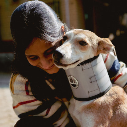 Peepal Farm Dog and Cat Surgery Collars