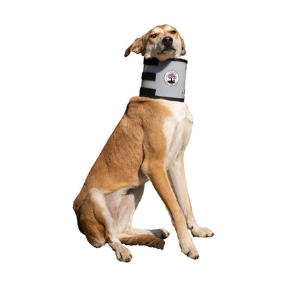 Peepal Farm Dog and Cat Surgery Collars