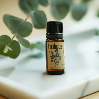Eucalyptus Essential Oil (10ml)