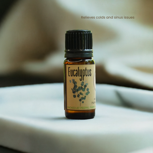 Eucalyptus Essential Oil (10ml)