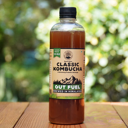 Handcrafted Kombucha (Pack of 4 x 500ml), Low-Calorie, All Natural, Contains B12 Naturally