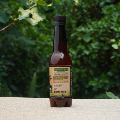 Handcrafted Kombucha (Pack of 24 x 330ml), Low-Calorie, All Natural, Contains B12 Naturally