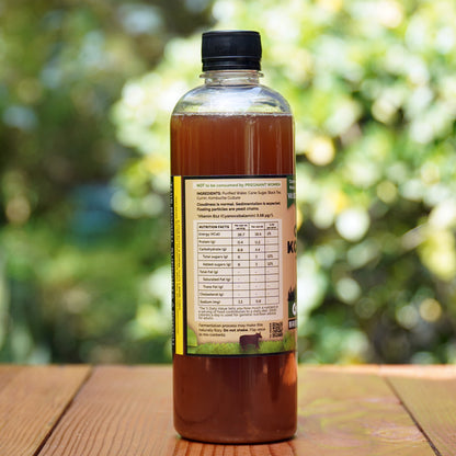 Handcrafted Kombucha (Pack of 4 x 500ml), Low-Calorie, All Natural, Contains B12 Naturally