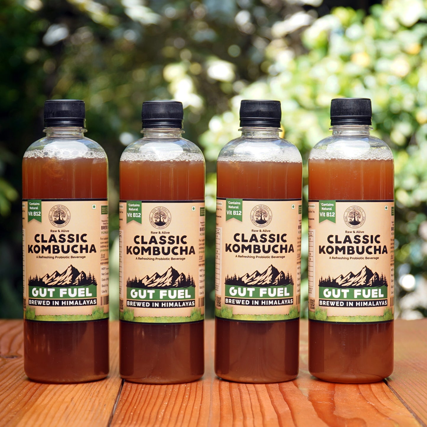Handcrafted Kombucha (Pack of 4 x 500ml), Low-Calorie, All Natural, Contains B12 Naturally