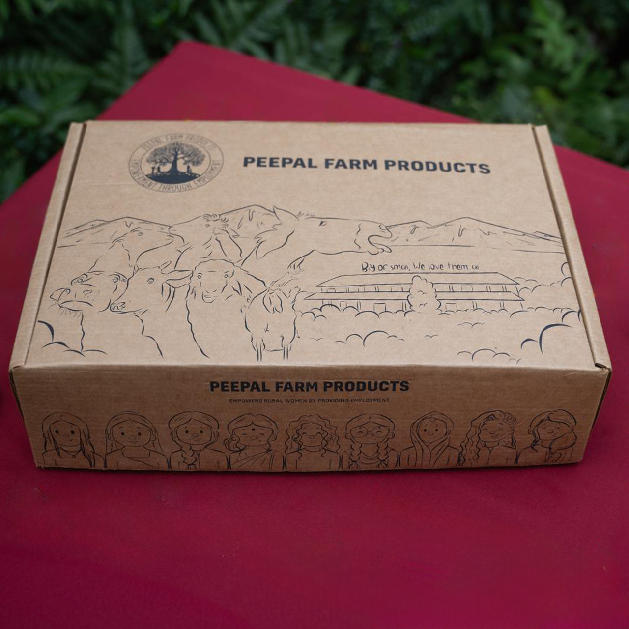 Peepal Farm Energize Gift Hamper